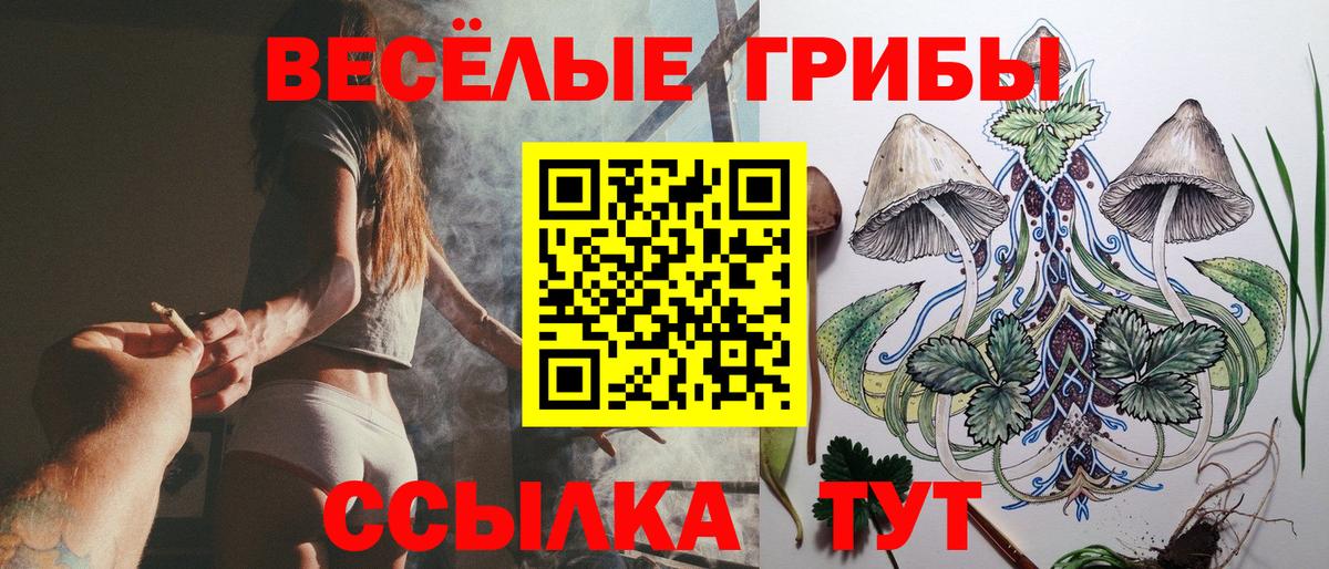 Псилоцибиновые грибы MAGIC MUSHROOMS Зеленодольск