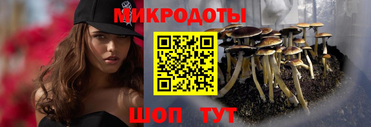 Зеленодольск  Галлюциногенные грибы ЛСД  Вход с VPN  Псилоцибиновые грибы Psilocybine cubensis 